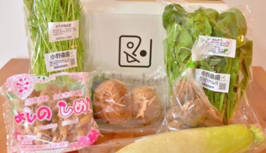 【ココノミ（141select）体験談】お試しセットは味がいい路地野菜が届く